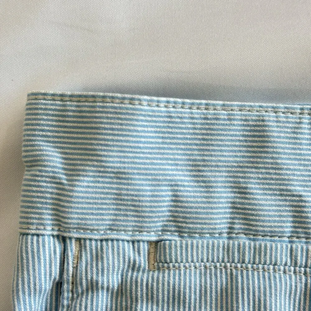 Banana Republic Mens 38 Baby Blue Striped Cotton Classic Fit Flat Front Shorts